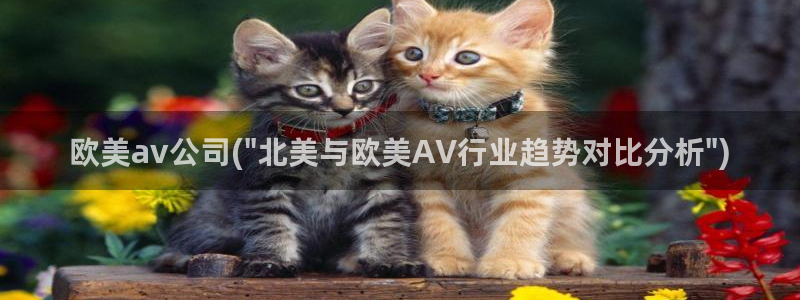 高清成人AV