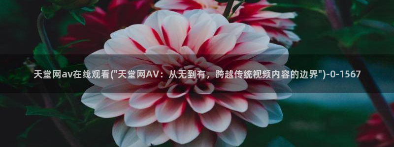天堂av影音