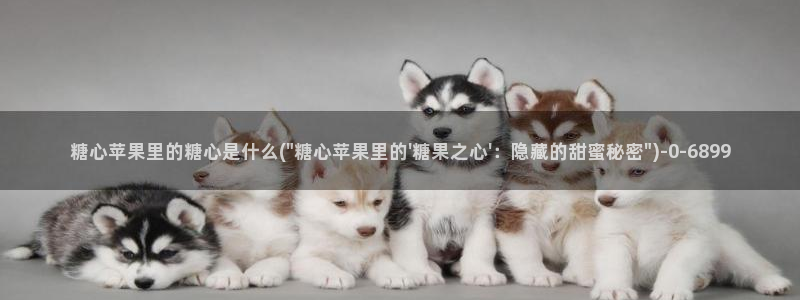 vlog糖