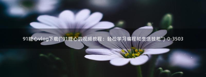 糖心vlog破解版下载www