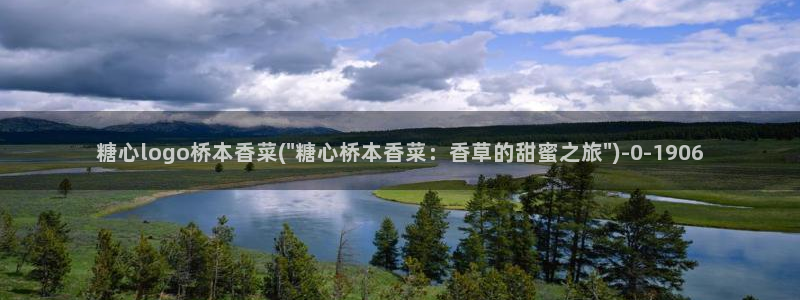 糖心vlog平台
