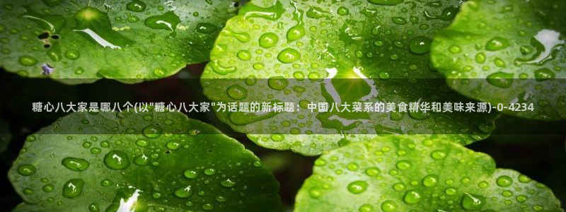 糖心vlog是啥