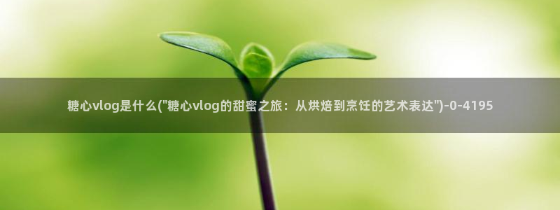 糖心vlog中国