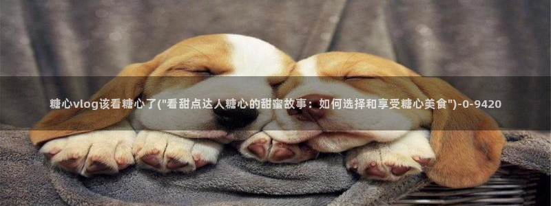 糖心vlog账号