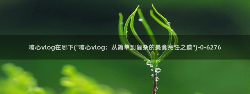 糖心. vlog