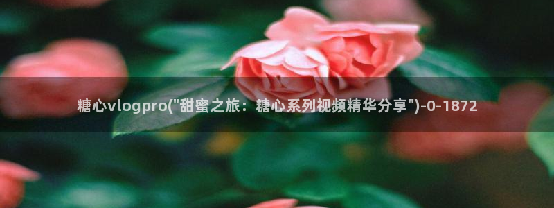 糖心成年版糖心vlog