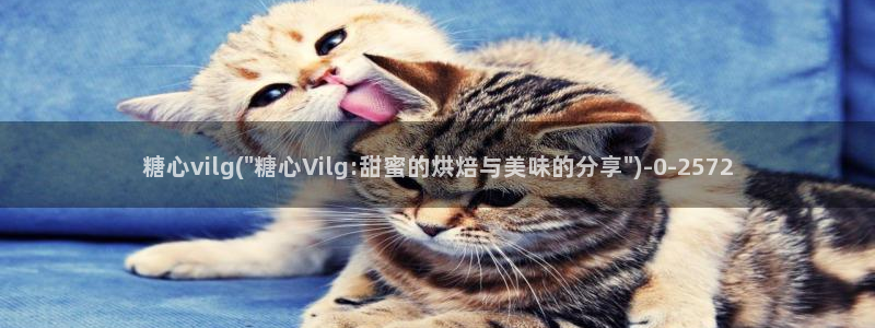 糖心的vlog日常