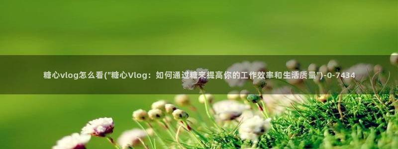 糖心vlog女郎