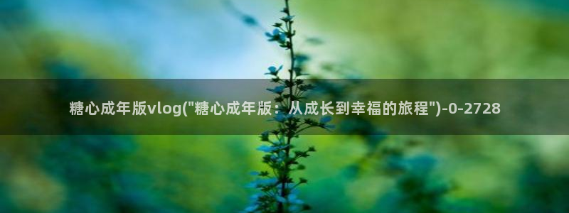 心糖vlogo