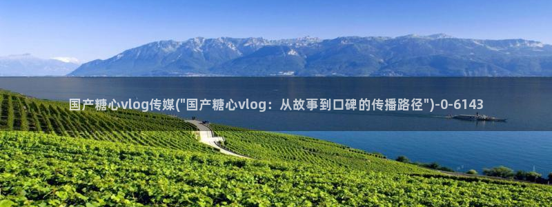 糖心vlog正版